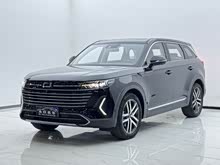 ����T99 2023�� 2.0T �Զ������