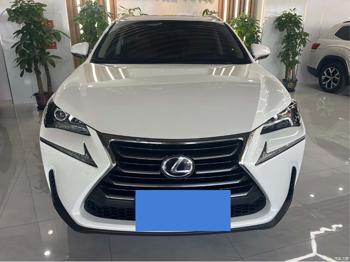 Lexus NX, 2015 2