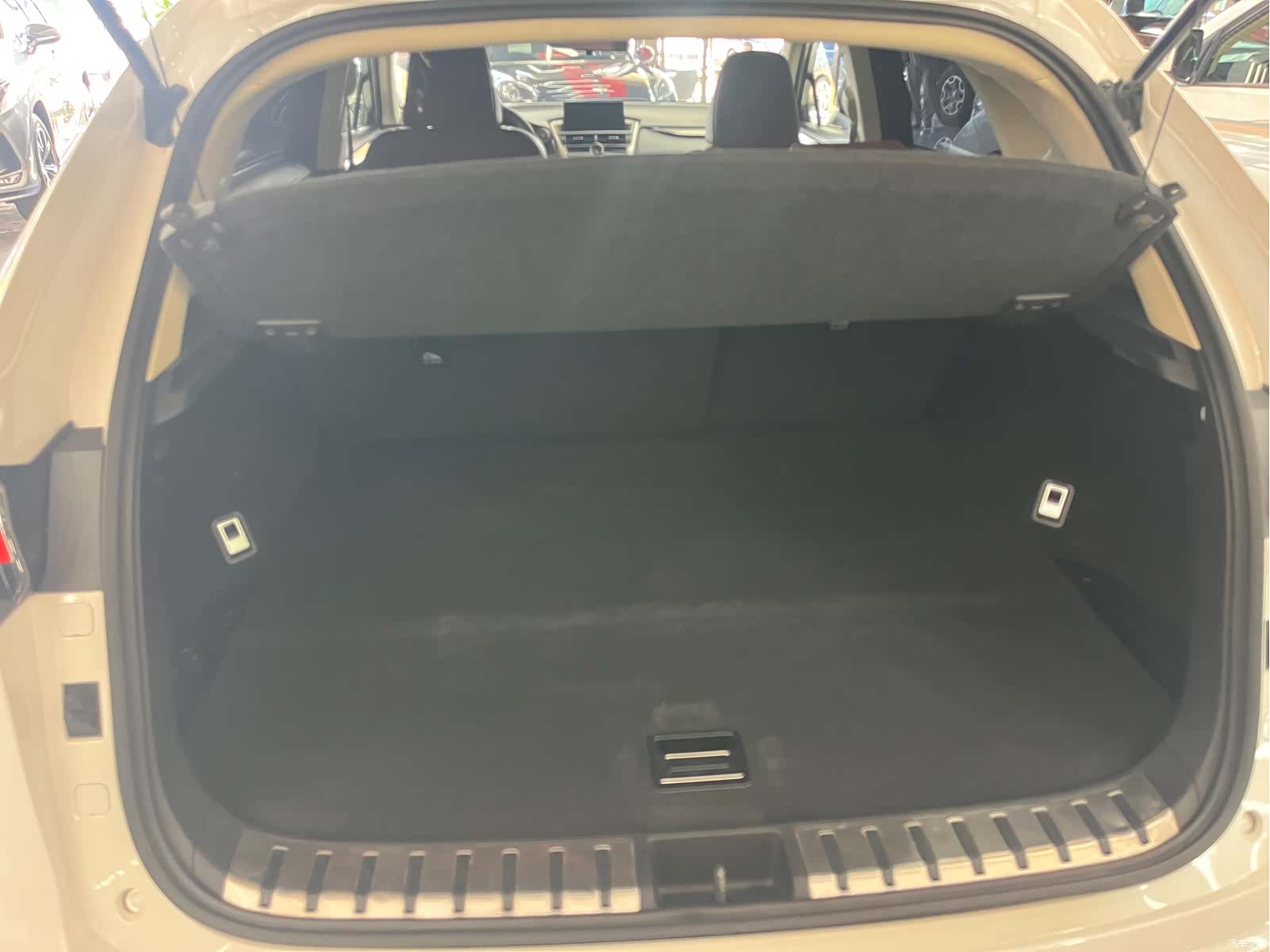 Lexus NX, 2015 11