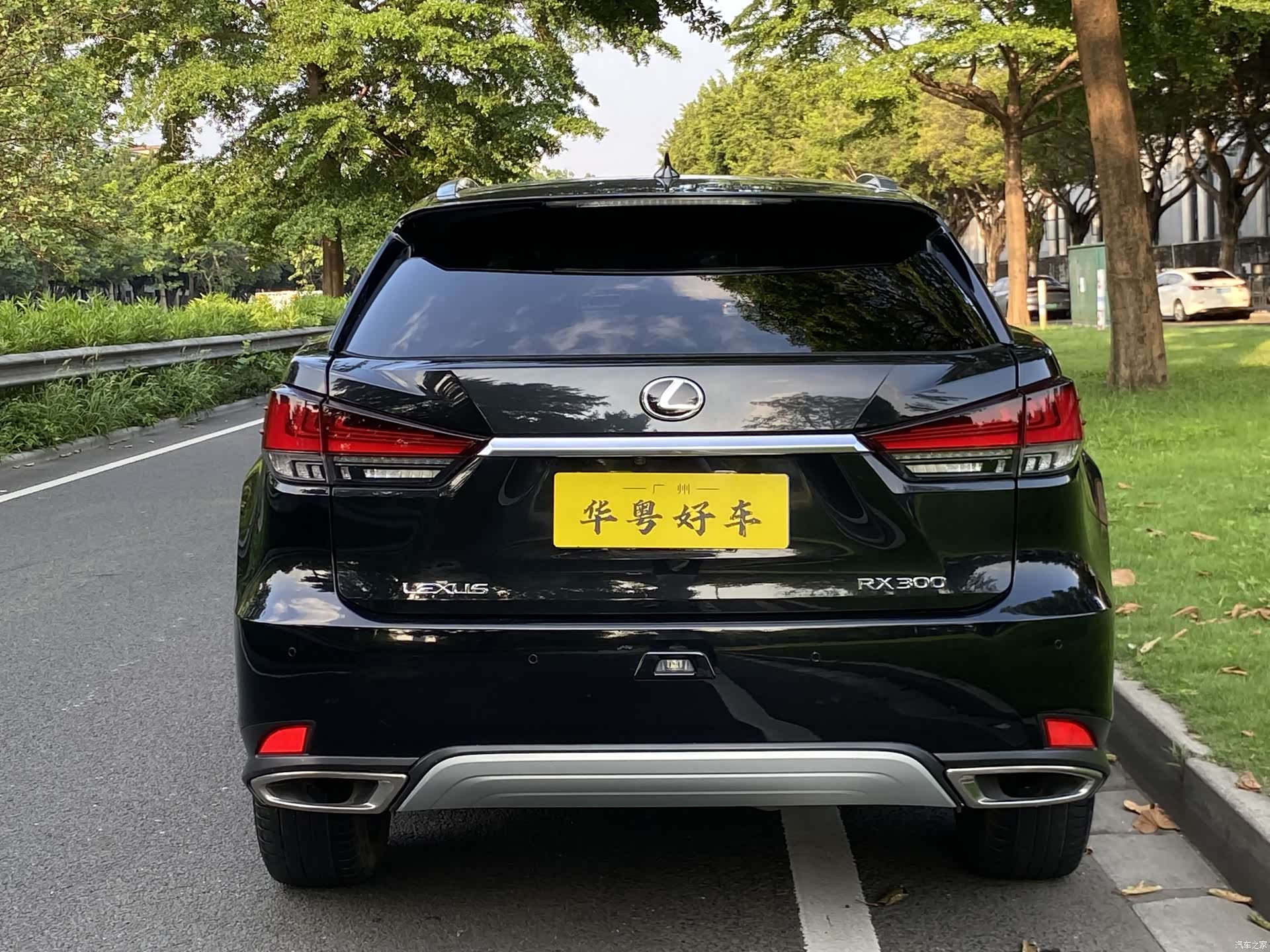 Lexus RX, 2022 3