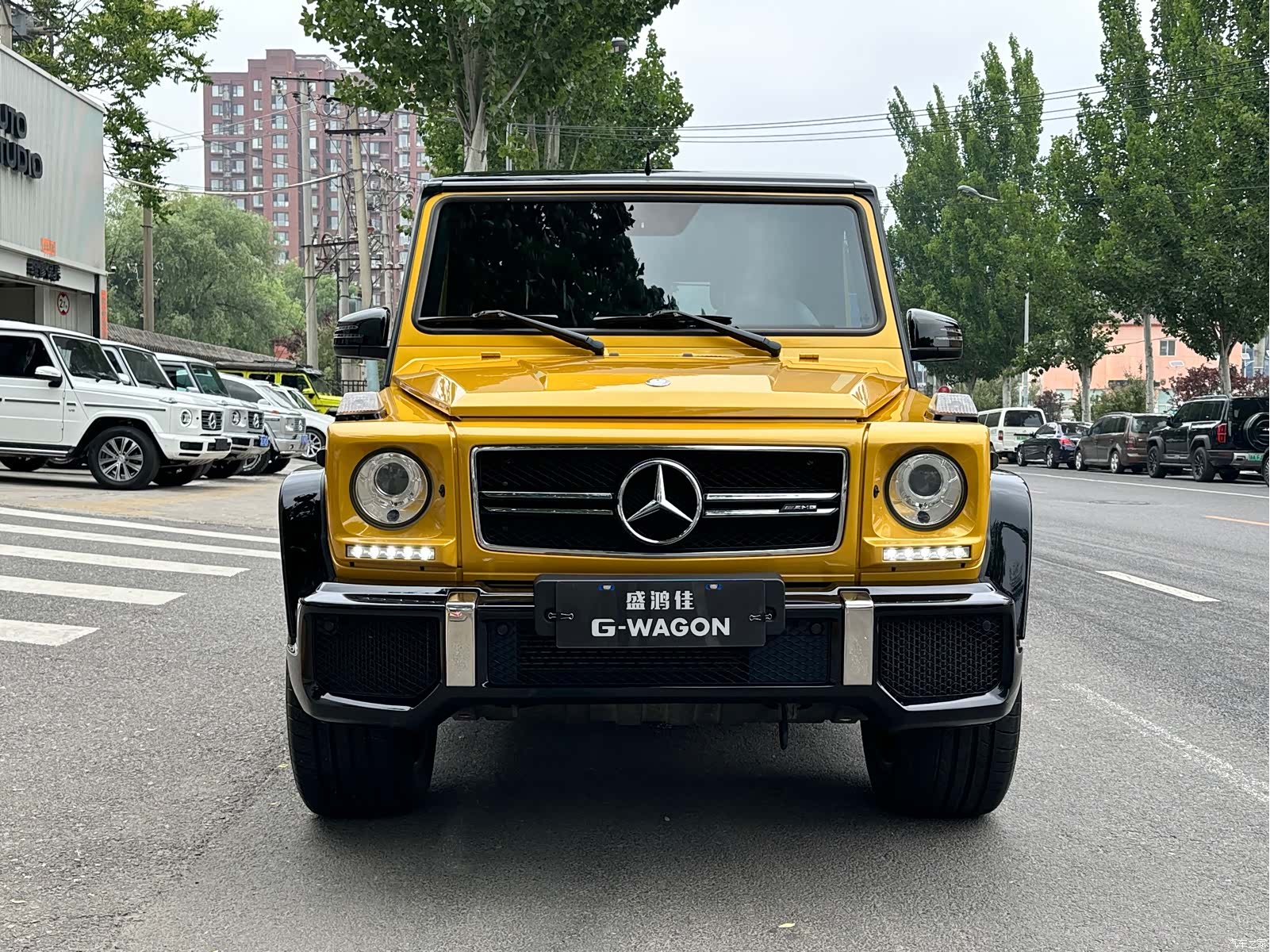 Mercedes-Benz G-Class, 2016 4