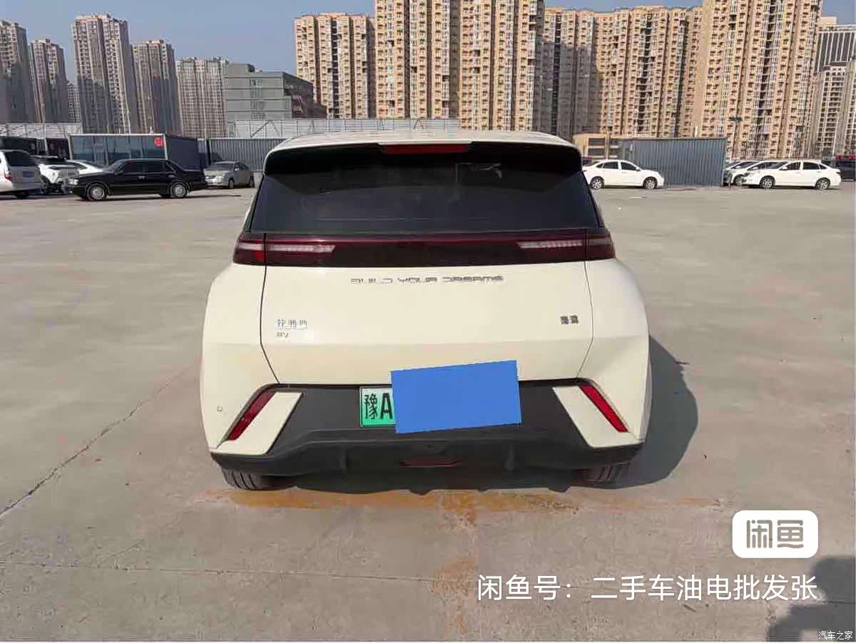 BYD Seagull, 2024 6