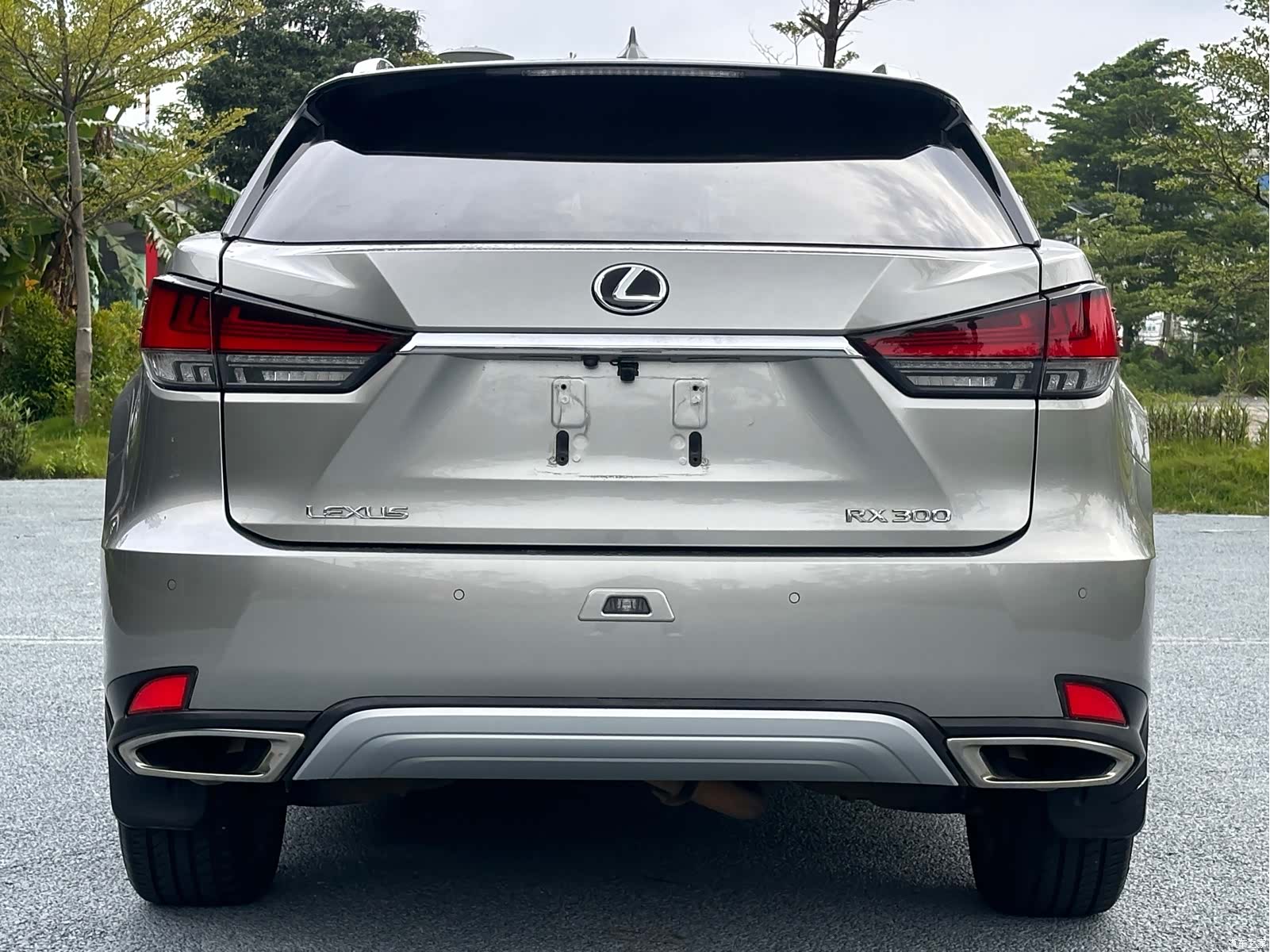 Lexus RX, 2021 все фото
