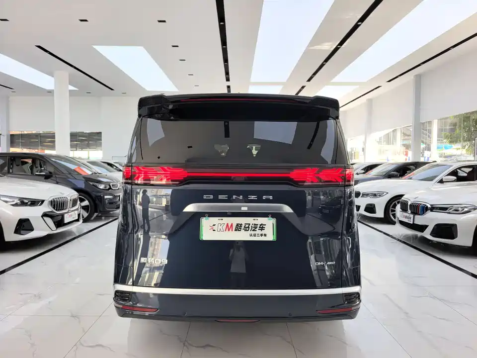 Denza D9