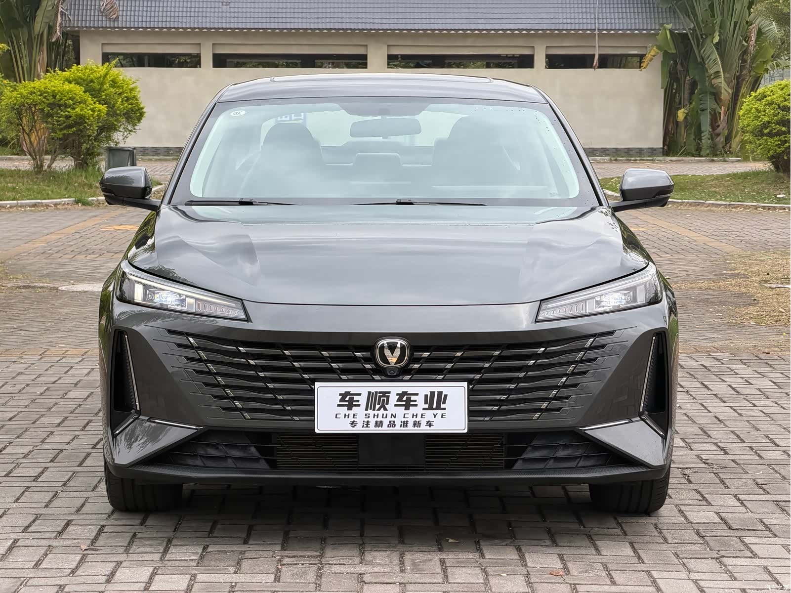 Changan Eado, 2024 2