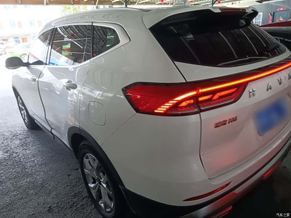 Haval H6, 2023 все фото