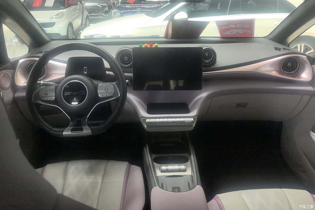 BYD Dolphin, 2024 12