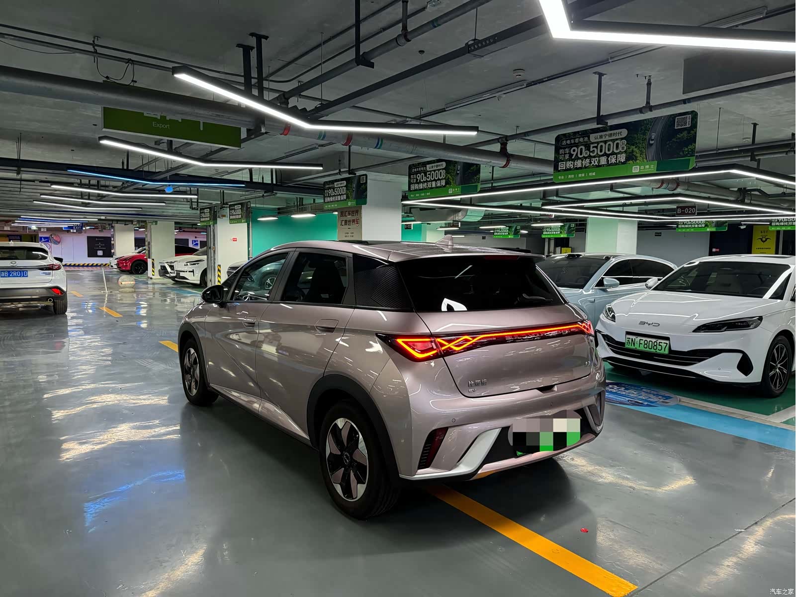 BYD Dolphin, 2024 12