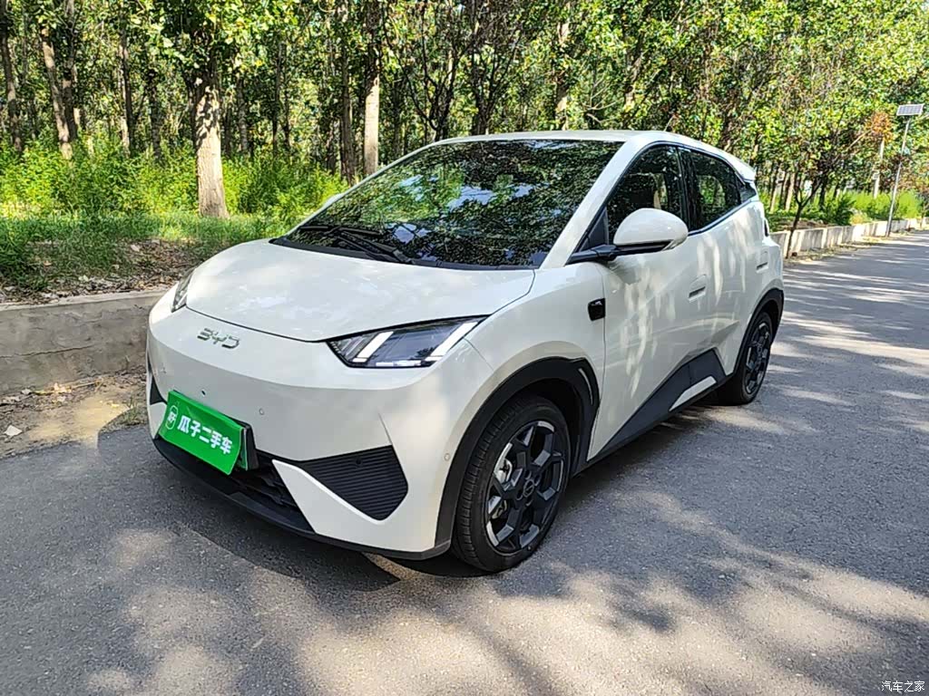 BYD Seagull, 2025 1