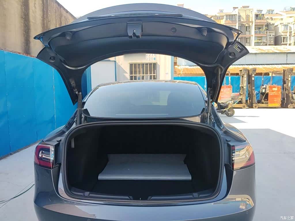 Tesla Model 3, 2021 19