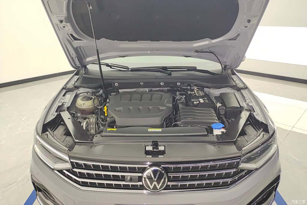 Volkswagen Magotan, 2024 10