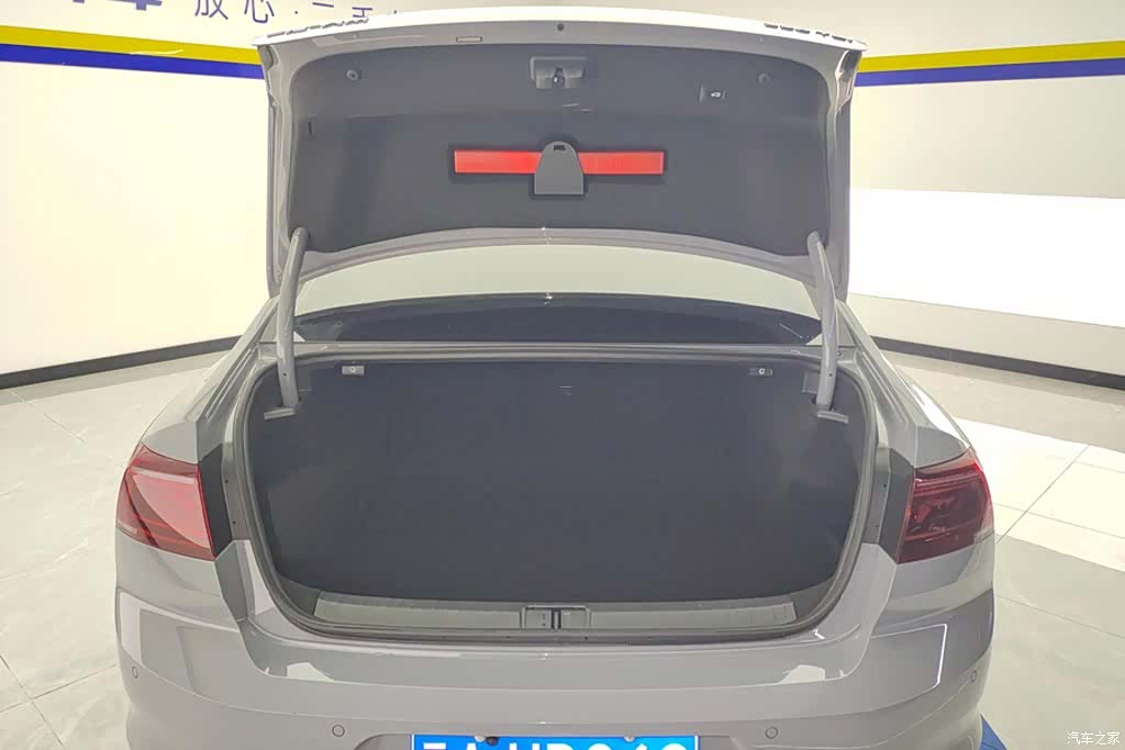 Volkswagen Magotan, 2024 4