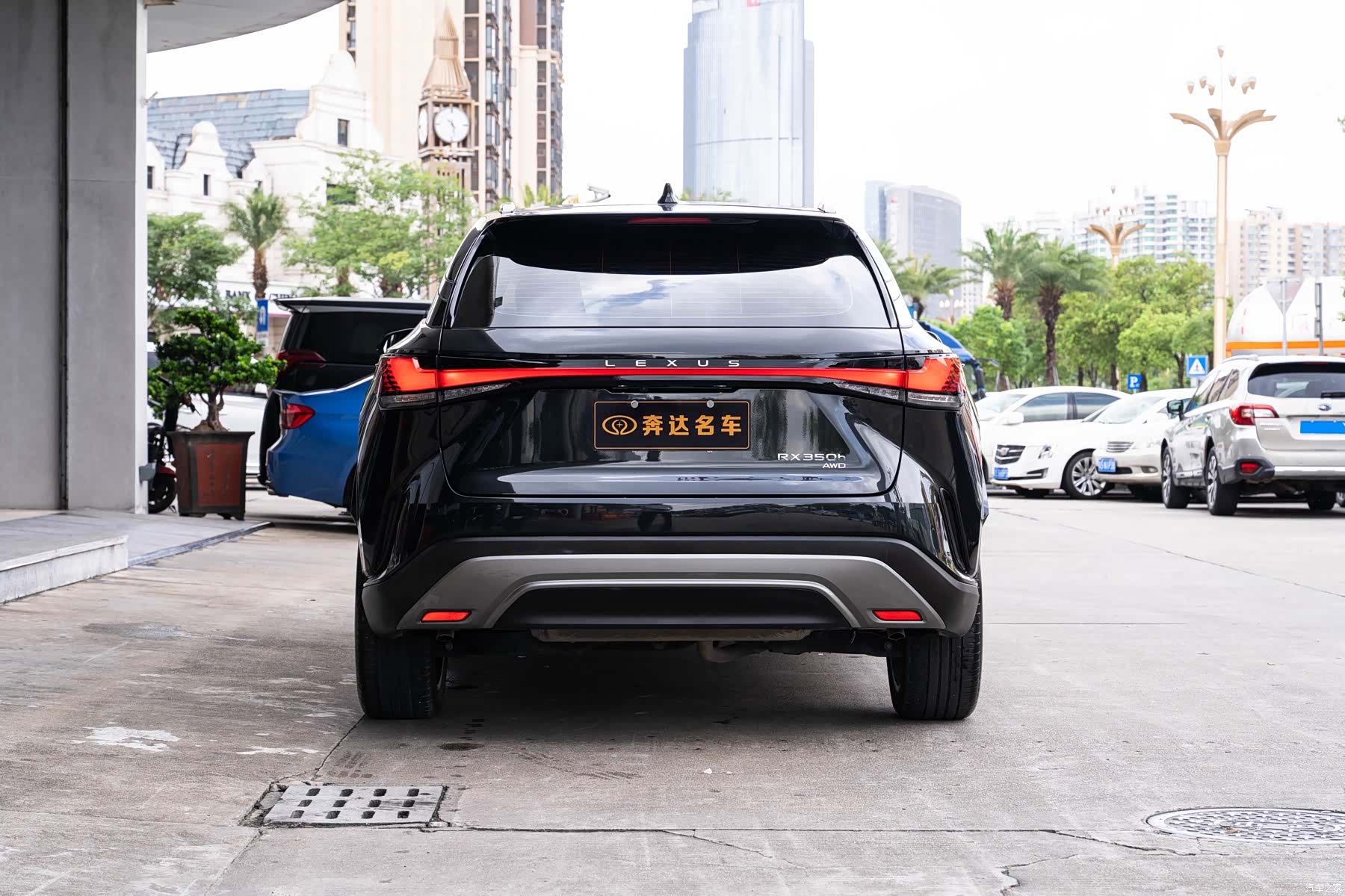 Lexus RX, 2024 все фото