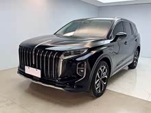 ����HS7 2023�� 2.0T �Զ������쳩�� ����