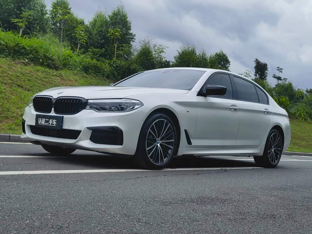 BMW 5 Series 5 2019 530Li Premium M Sport