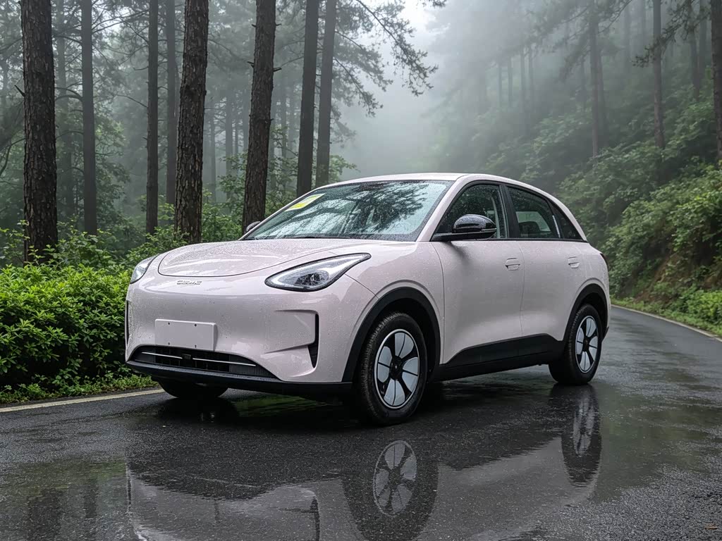 Geely Geome Xingyuan