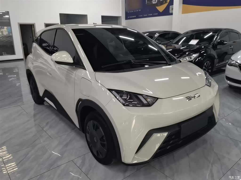 BYD Seagull, 2024 4