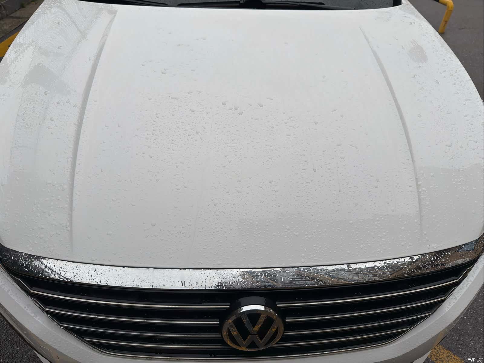 Volkswagen Lavida, 2019 13