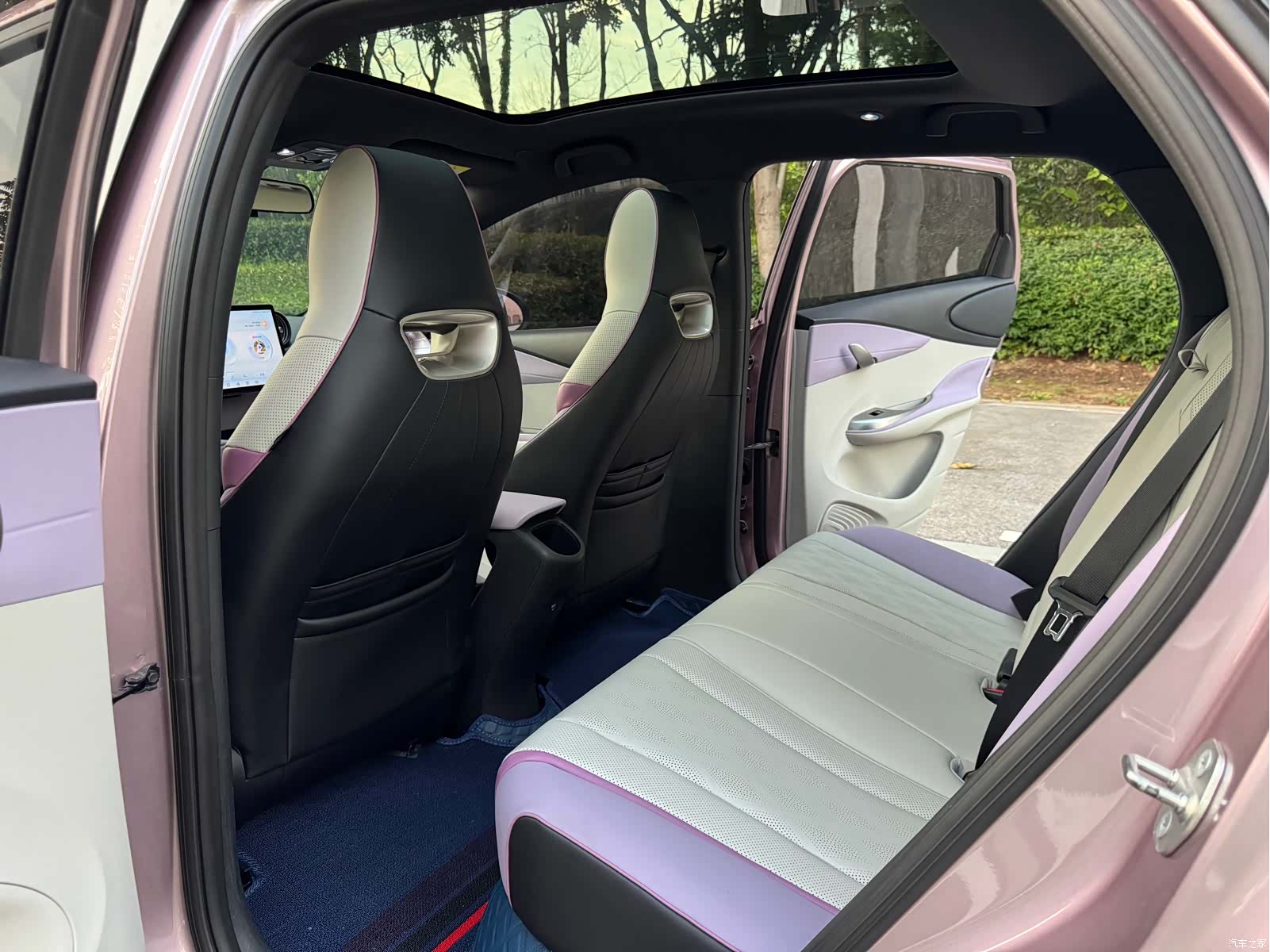 BYD Dolphin, 2024 12