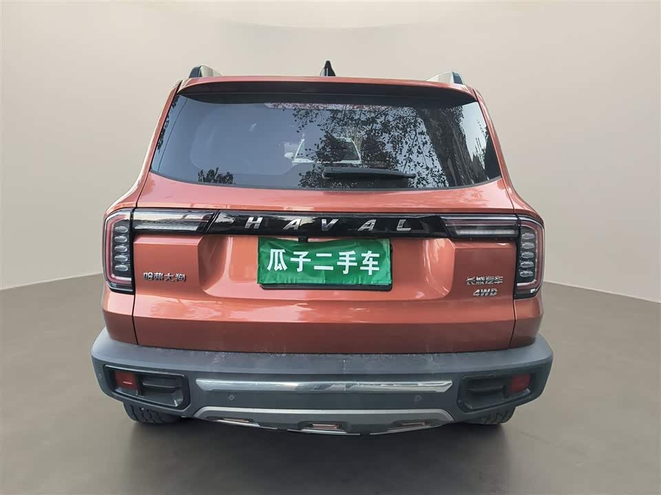 Haval Big dog