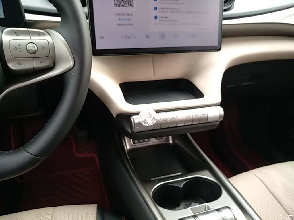 BYD Dolphin, 2024 14
