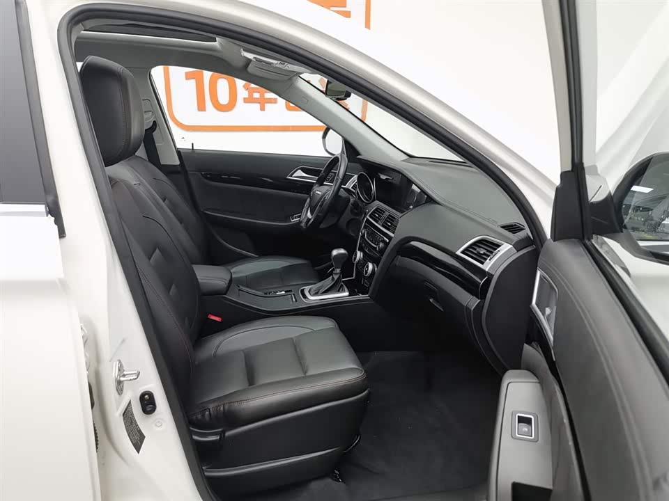 Leopaard Cheetah CS10