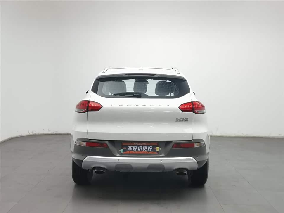 Leopaard Cheetah CS10