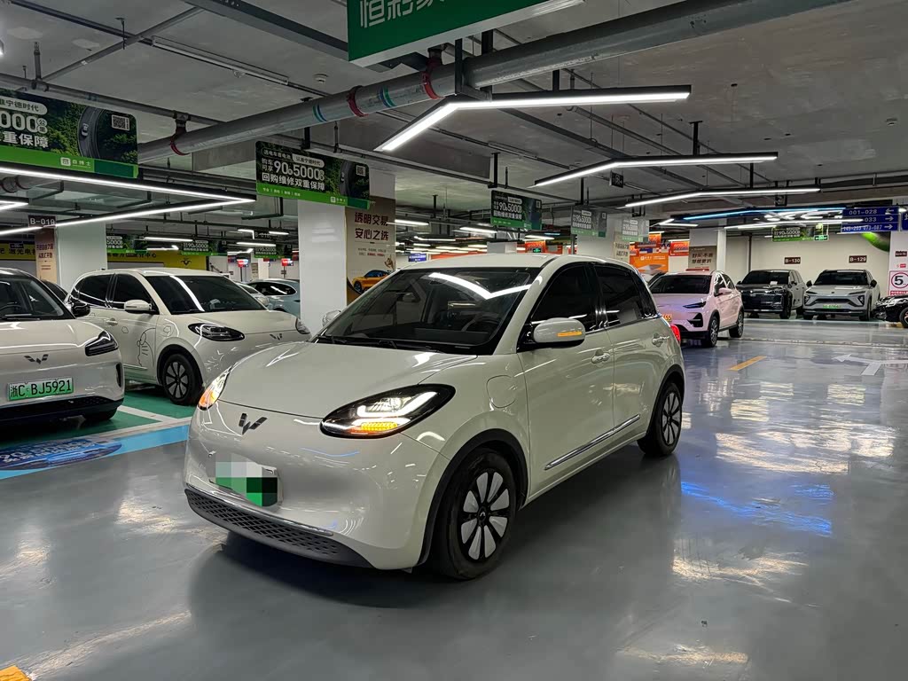 Wuling Binguo 2023 333km Enjoy +