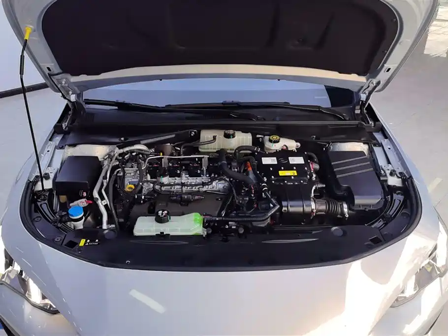 Trumpchi Shadow Leopard