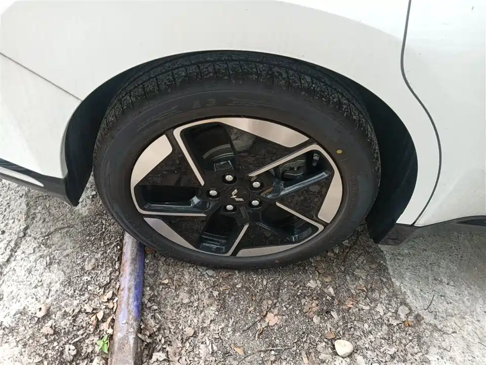 Wuling Wuling Starlight