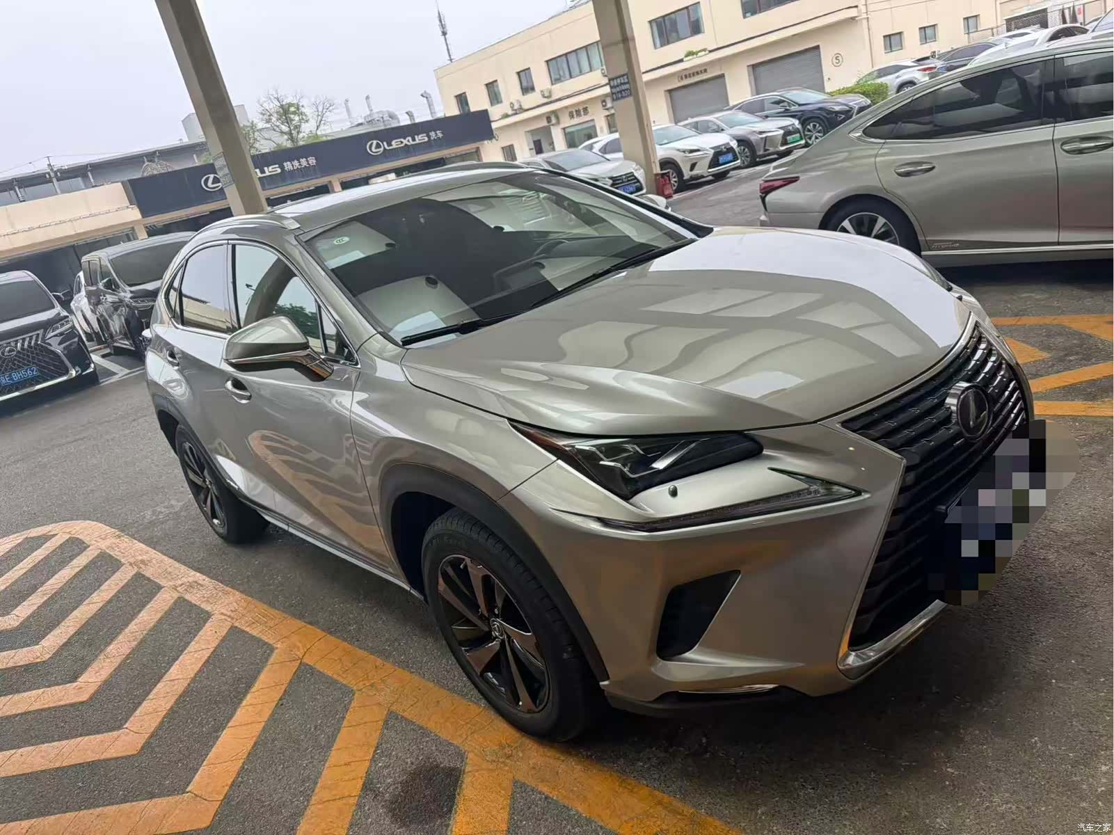 Lexus NX, 2021 3