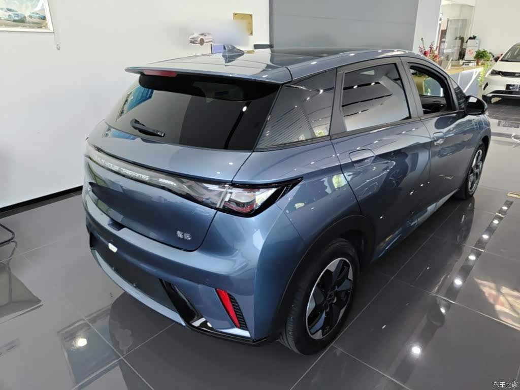 BYD Dolphin, 2024 7
