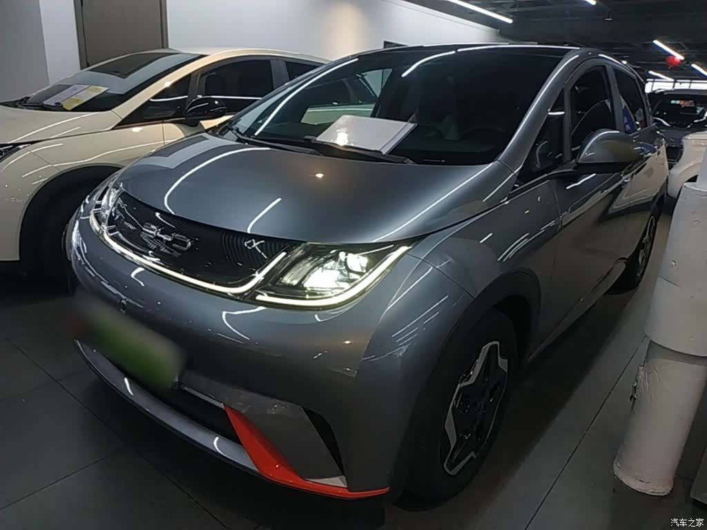 BYD Dolphin, 2022 2