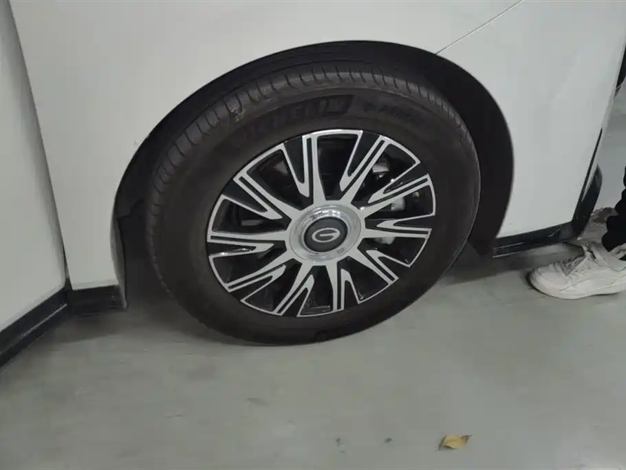 Trumpchi Trumpchi E9