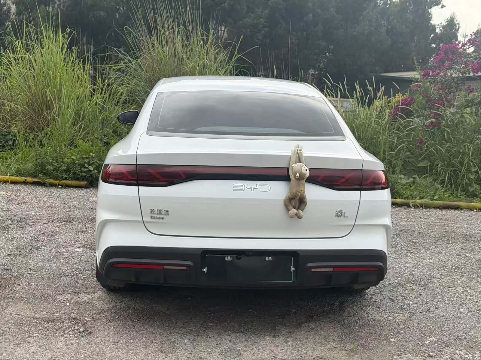 BYD Qin, 2025 8