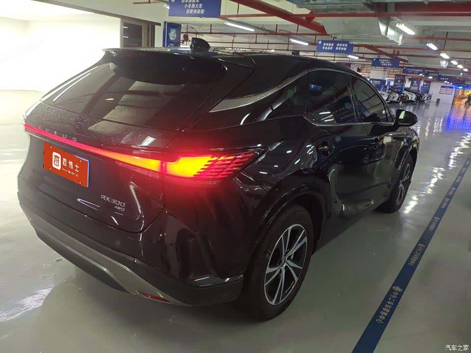 Lexus RX, 2025 4