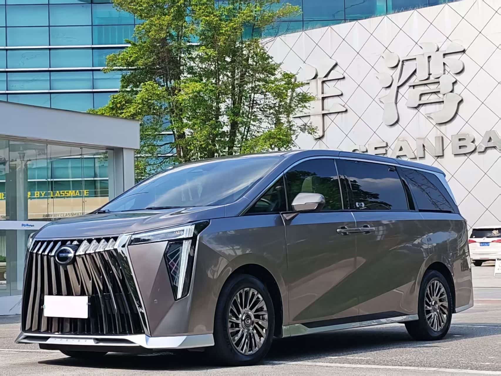 Trumpchi M8, 2023 1