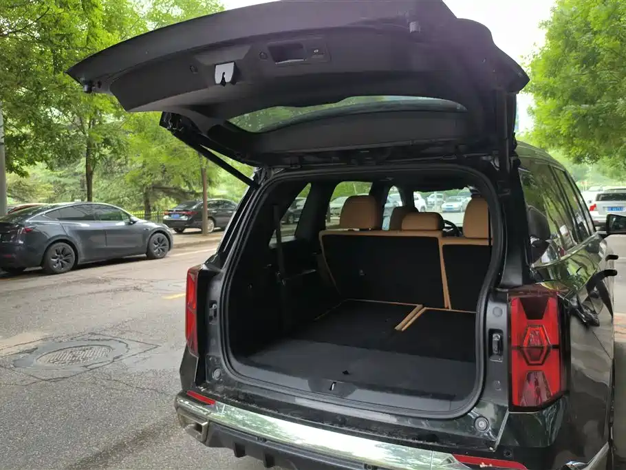 Trumpchi Trumpchi ES9