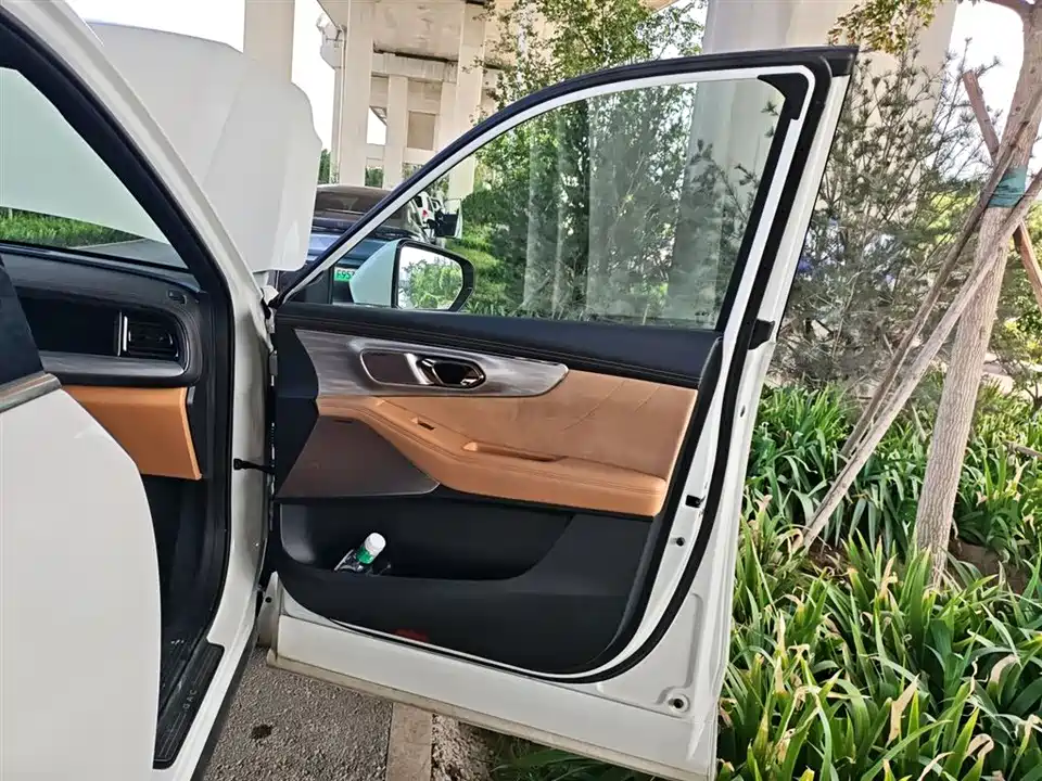 Trumpchi Trumpchi ES9