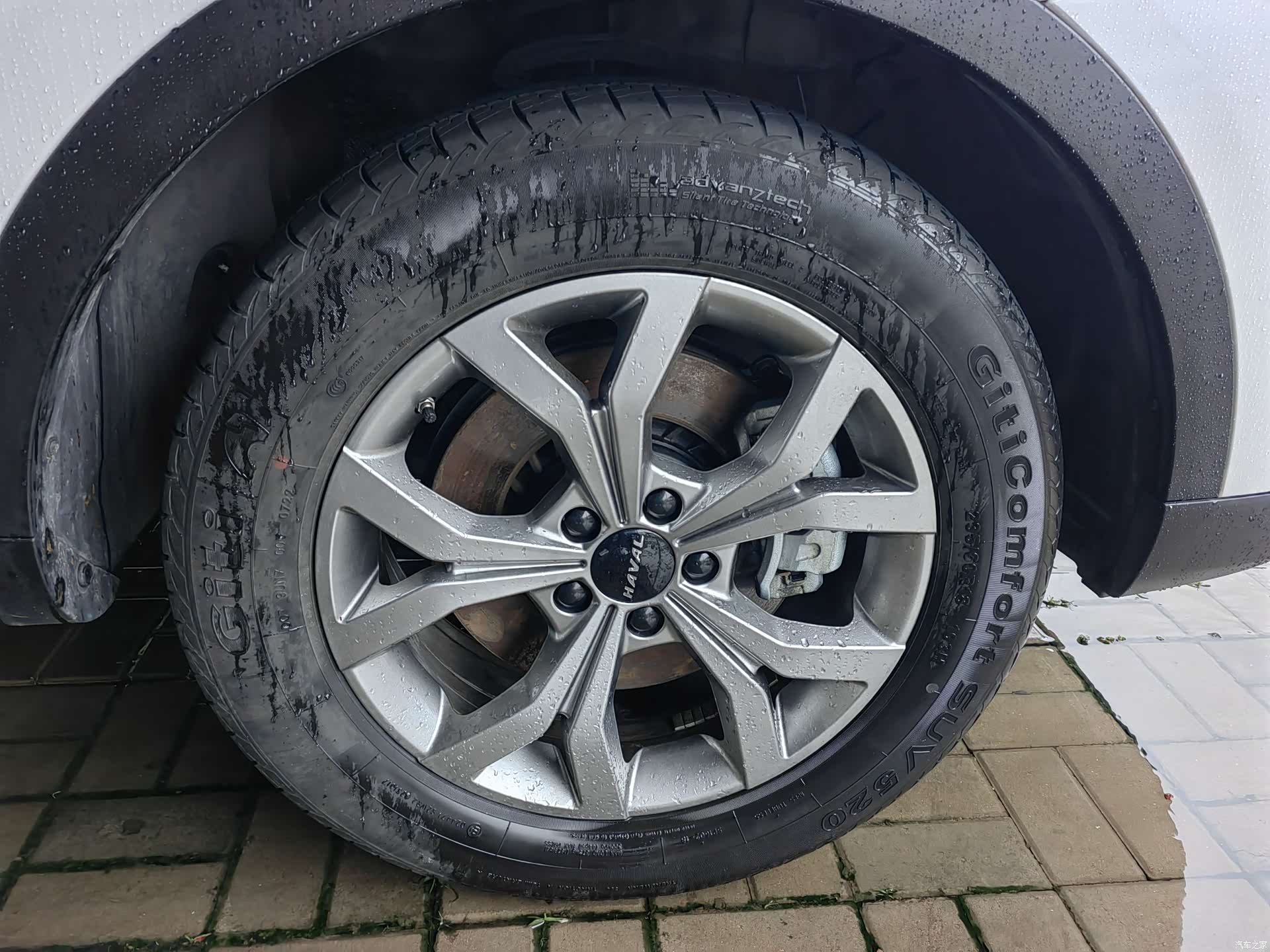 Haval H6, 2022 все фото
