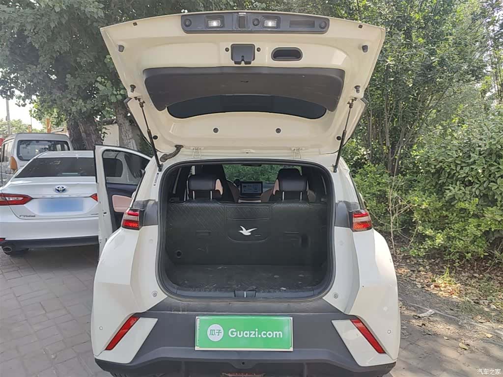 BYD Seagull, 2024 19