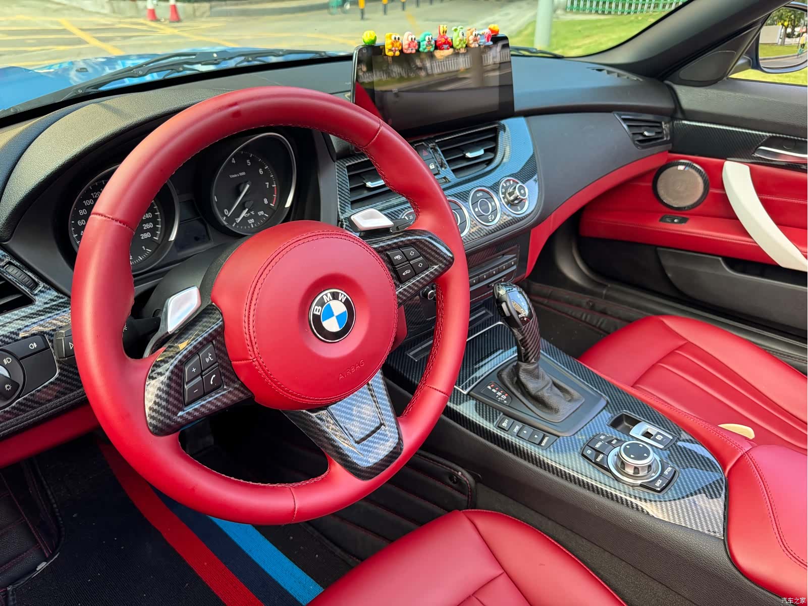 BMW Z4, 2010 8