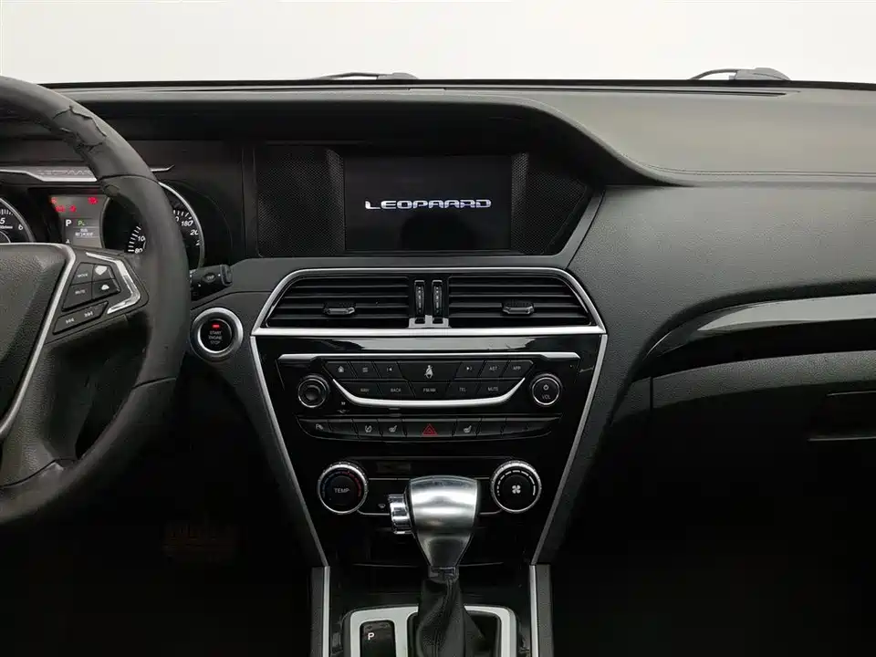 Leopaard Cheetah CS10