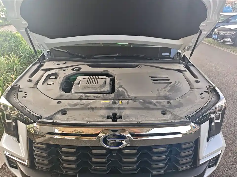 Trumpchi Trumpchi ES9