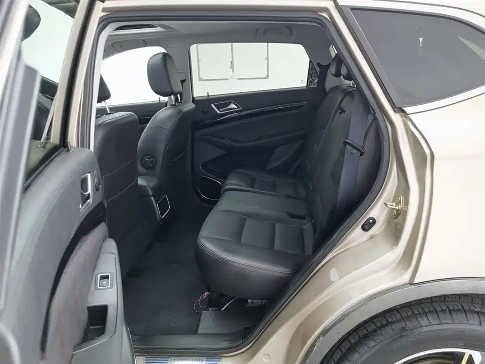 Leopaard Cheetah CS10