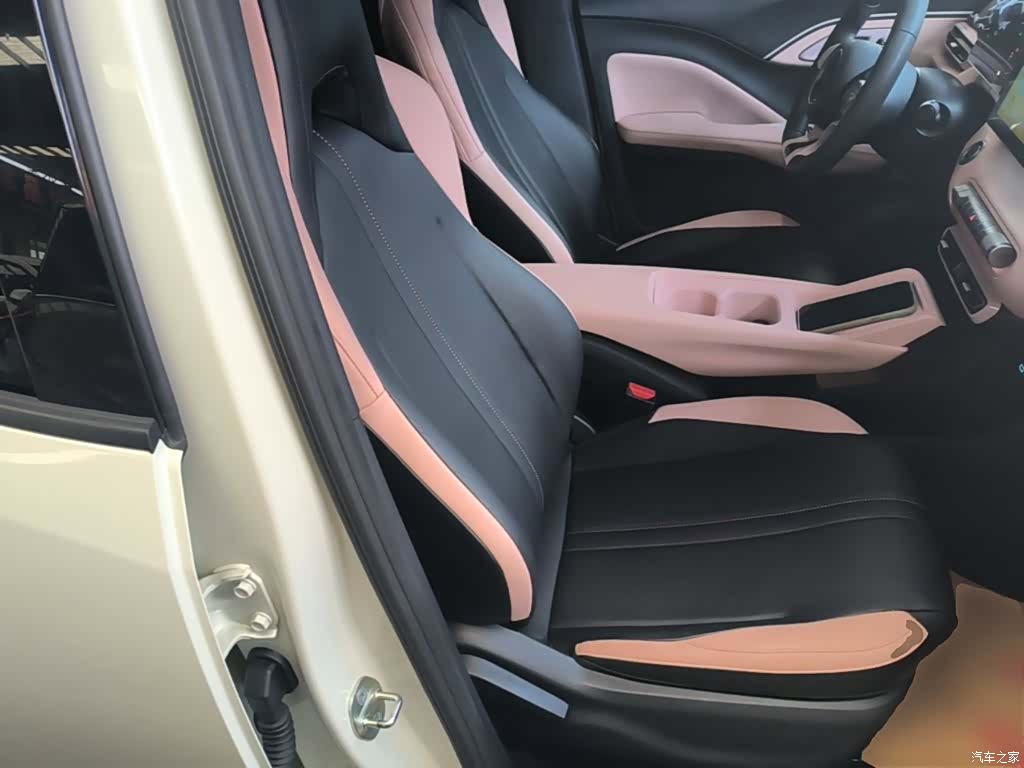 BYD Seagull, 2024 25