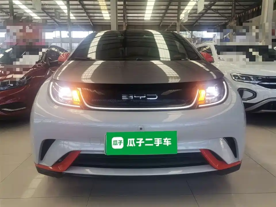 BYD dolphin