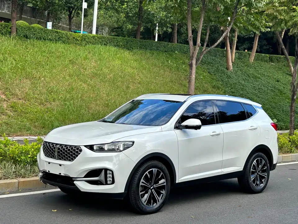 Weipai VV6