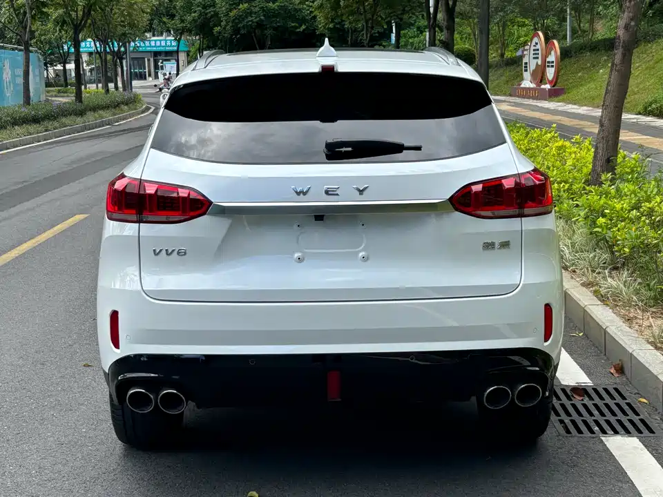 Weipai VV6