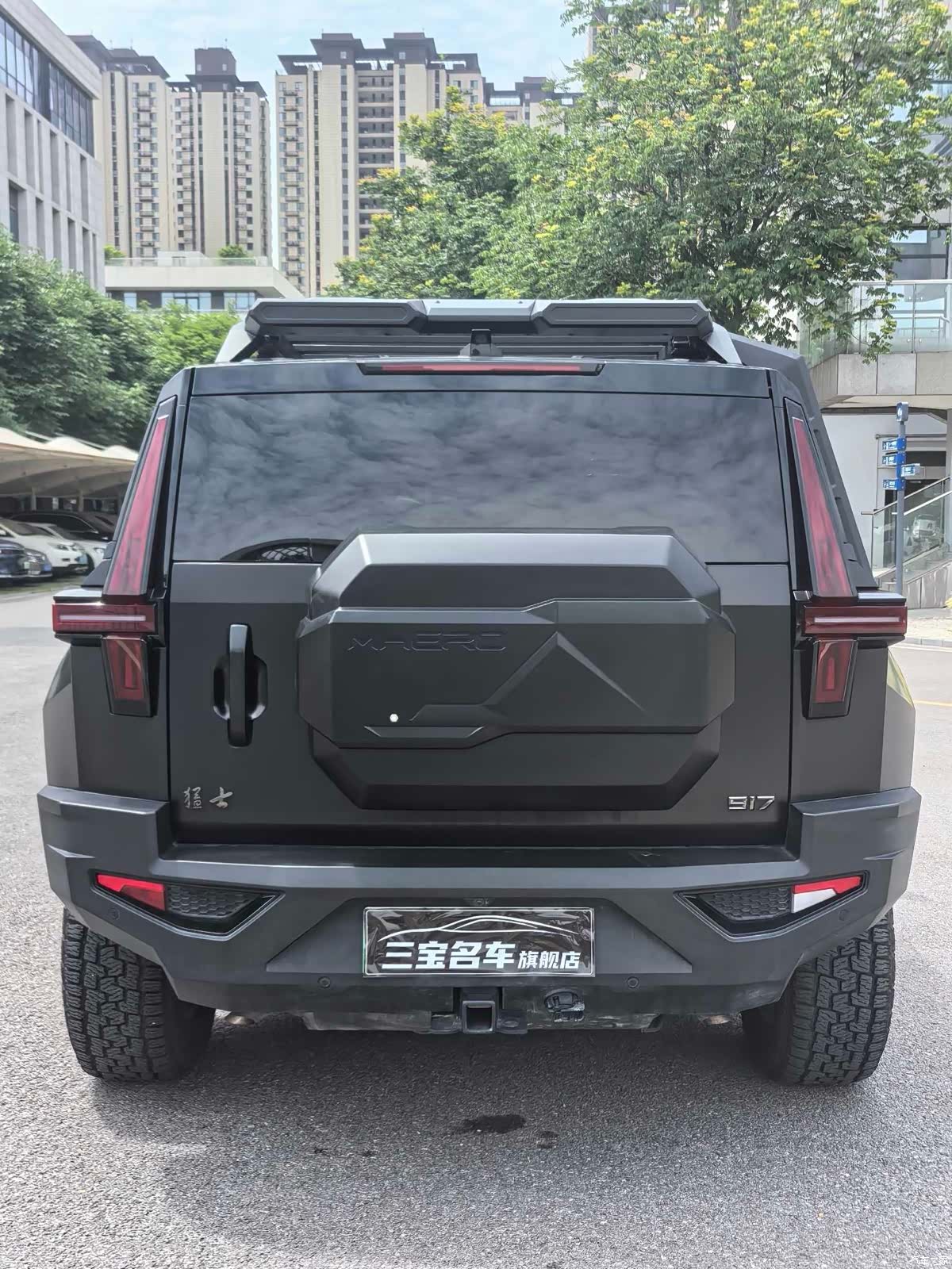 Mengshi 917, 2025 4